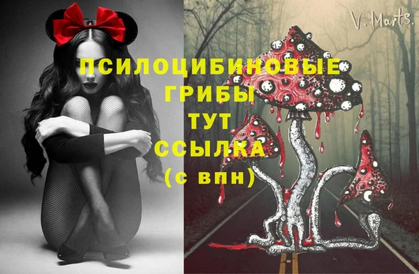 СК Алексин