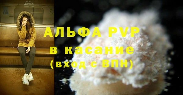 СК Алексин