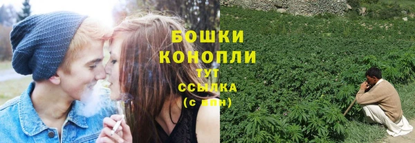 стафф Нефтекумск