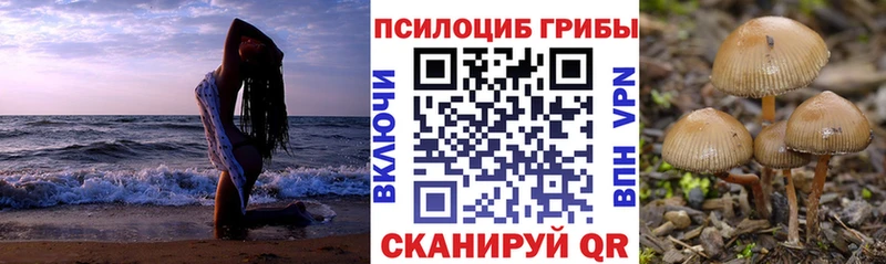 Псилоцибиновые грибы Cubensis Апрелевка